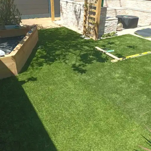 Lawn